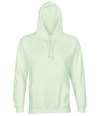 03815 Unisex Condor Hoodie creamy green colour image